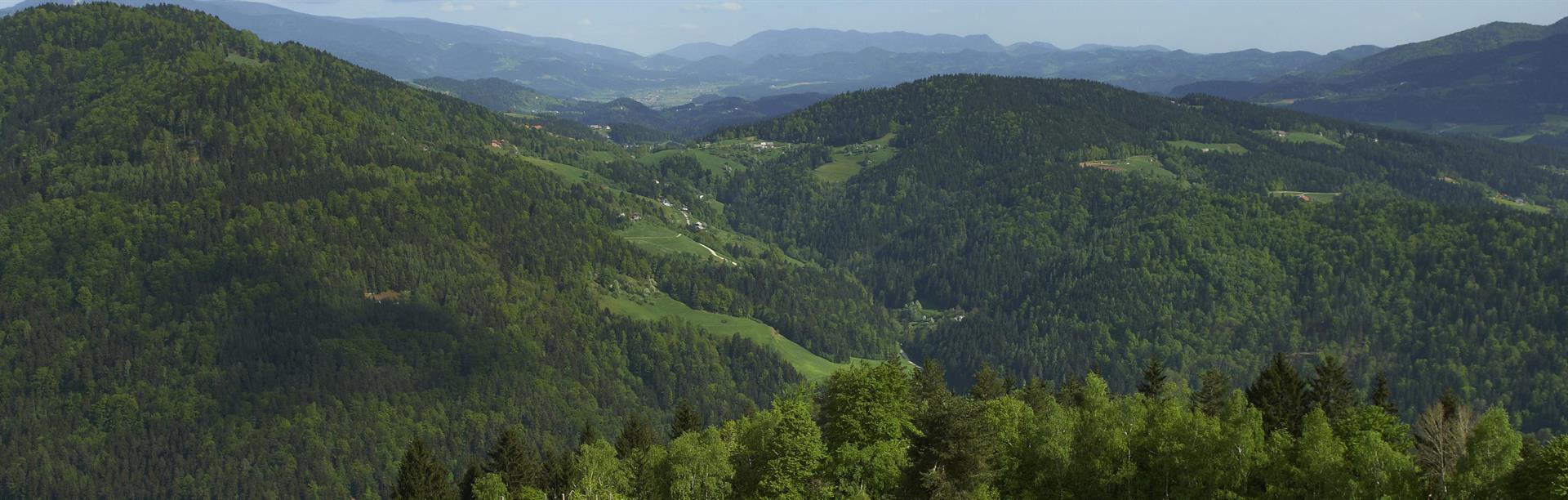 Občina Ravne na Koroškem