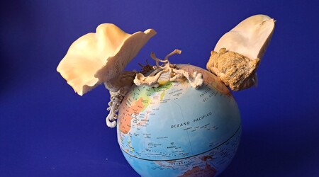 Razstava Polonca Lovšin: Nove geografije