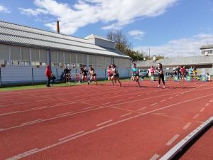 42531593_2284882345073333_4458890379323768832_n