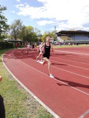 42603568_2284882088406692_1747744479051251712_n