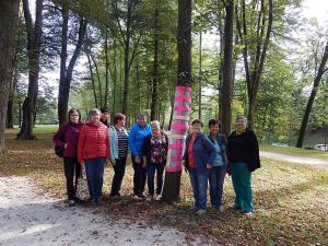 42831953_2087271687989517_3385132062649352192_n