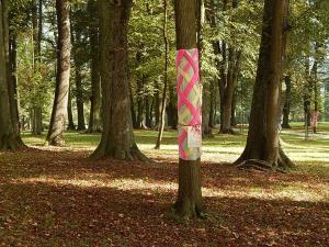 42896614_2087270994656253_6749070553342017536_n