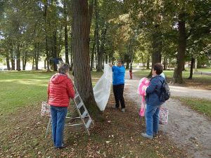 42937178_2087271711322848_3598224816340992_n