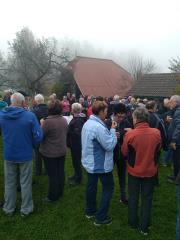 43951516_117166465930477_7816193811264045056_n