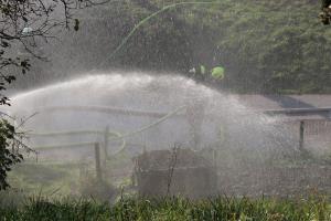 44037125_707010979655406_1765754110147035136_n