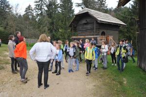 44273451_2273599666209797_5385021066487791616_n