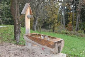 44331990_2273599676209796_8524177959798439936_n