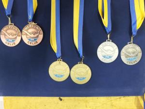 49530576_2296526627024052_4736266505535094784_n