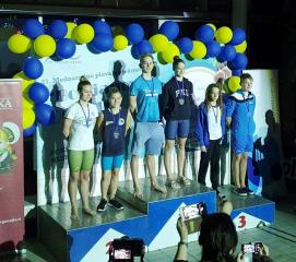 50598023_2317973531546028_6010301470799298560_n