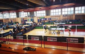 50952690_613533162416475_4335173446930530304_n