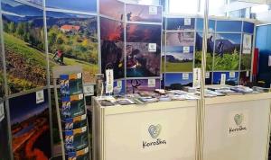 51061393_934521006738558_1216580122593722368_n