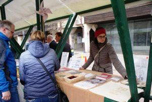 56356581_2330645177224839_9064193341909893120_o_2330645170558173