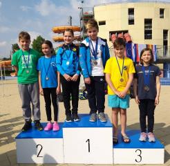 60524084_2502856556391057_3494400952692113408_n