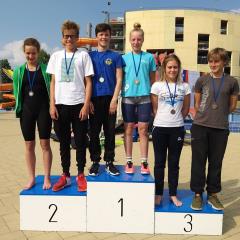 61077034_2502856463057733_2611411708777857024_n