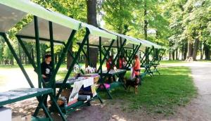 60836886_2287709191315943_5119028257173274624_n