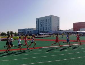 66646496_2058563957582278_4783936802819932160_n