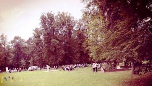 70276416_2678624112148308_7402582237251633152_n