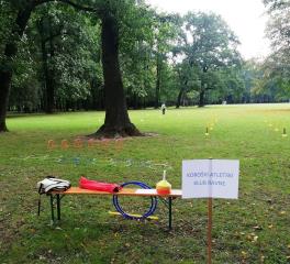 70710147_121261225926657_4626221081110249472_n