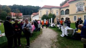 70802320_2488536977899829_4611111046860505088_n