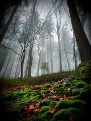 80090234_10157868001554146_6388476377753976832_o