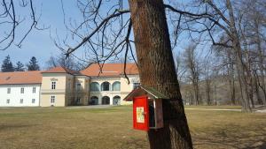 29663247_1717046248388433_5737625725099803770_o