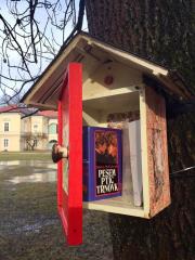 51295865_10217250873724515_7368970969949405184_o