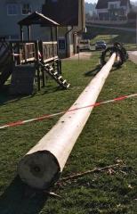 94574182_3654697451270467_144995171040231424_n