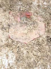 96422573_2710192979217128_3183372976032579584_o