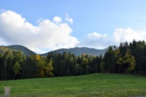 14.-Pot-na-Naravske-ledine