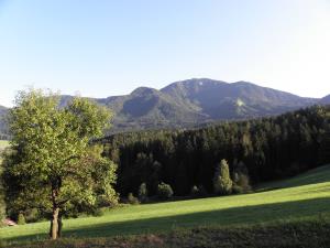 13220606_10208765089752247_8913205644885078255_o