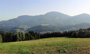 16.-Pot-po-Tolstem-Vrhu