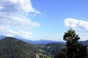 17.-Pot-po-Tolstem-Vrhu