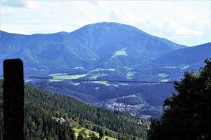 18.-Pot-po-Tolstem-Vrhu