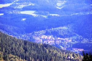 19.-Pot-po-Tolstem-Vrhu