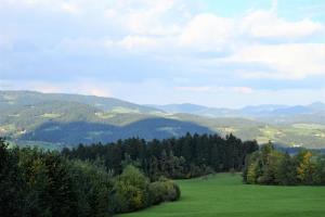 11.-Pot-na-Naravske-ledine