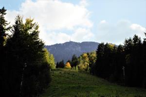 12.-Pot-na-Naravske-ledine