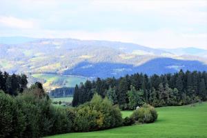 15.-Pot-na-Naravske-ledine