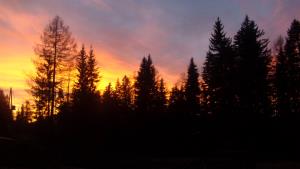 53764526_1929238433853764_5648528124825042944_o