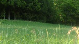 61738915_2045960655514874_319084768371146752_o