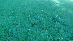 61917905_2045963618847911_6045430867306741760_o