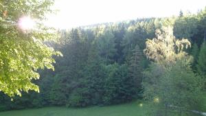 18954635_1213138148797133_7039344765739092933_o