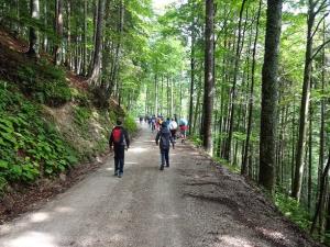 36718753_1578334978944113_561403838209196032_n