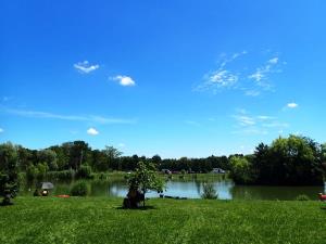 2084_1593958016_p7020473