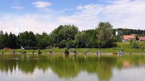 2084_1593958028_ribolov-7