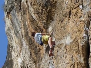 UVtrioadijoosv171120131