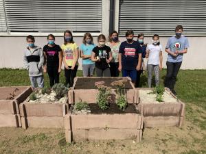 IMG-6640