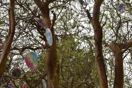 168690333_211387910751402_7515362690917176943_n