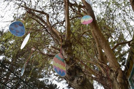 169145511_211387577418102_9037781095676030397_n