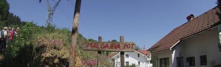 900275c459EDNmainmalgajeva