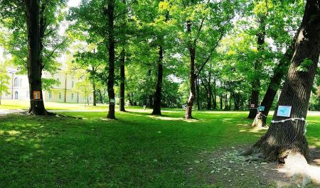 198493706_249832133573646_3956841582300698498_n